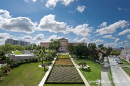 Líneas en cuatro direcciones en flores. Líneas en cuatro direcciones en flores.