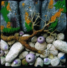 Radice (detalle) Radice (detalle)