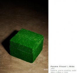 Poema visual. Nido Poema visual. Nido