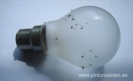 ¿Qué luz te mata? ¿Qué luz te mata?