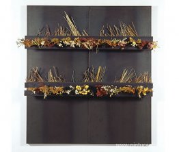 Intitulado Intitulado