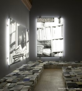 El fenómeno de la biblioteca El fenómeno de la biblioteca