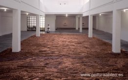 privaciones y excesos privaciones y excesos