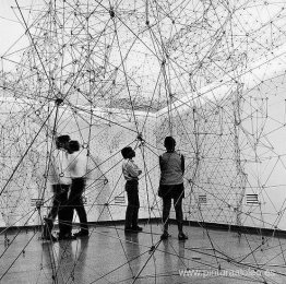 Reticulárea (vista de instalación) Reticulárea (vista de instalación)