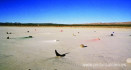 Instalación de rocas y pigmentos Instalación de rocas y pigmentos