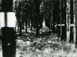 Madera programada Madera programada