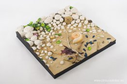 Playa con Nautilus Playa con Nautilus