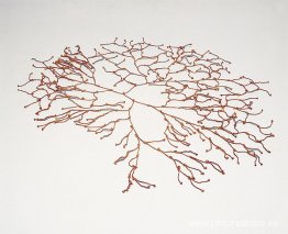 Mallas de libertad Mallas de libertad