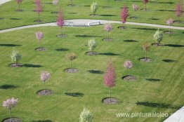 Happy Place Súper Especial (vista de instalación) Happy Place Súper Especial (vista de instalación)