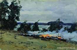 Incendios Incendios
