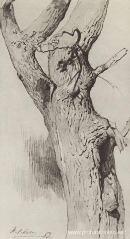 El tronco de un árbol viejo El tronco de un árbol viejo