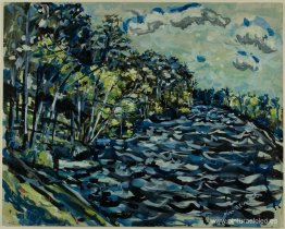 El río Negro de Santa María es azul, Georgia El río Negro de Santa María es azul, Georgia