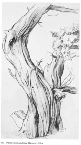 Dibujo del álbum. Dibujo del álbum.