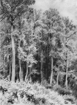 Árboles. Kozlovka-Zaseka Árboles. Kozlovka-Zaseka