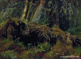 Árboles caídos por el viento Árboles caídos por el viento