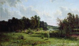 Monte bajo (mediodía) Monte bajo (mediodía)