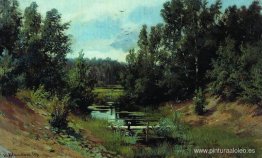 Arroyo del bosque Arroyo del bosque