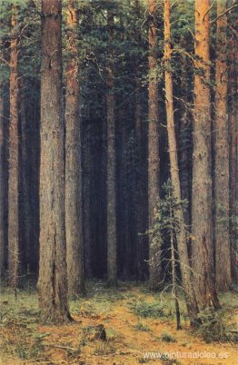 Reserva Forestal. Pinar Reserva Forestal. Pinar