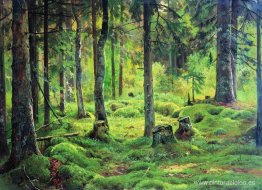 Cosa vieja Cosa vieja