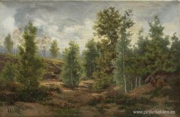 Borde del bosque Borde del bosque