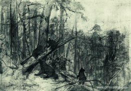 Mañana en un bosque de pinos Mañana en un bosque de pinos