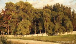 Bosque detrás de la valla Bosque detrás de la valla
