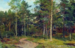 Paisaje de otoño. Camino en el bosque Paisaje de otoño. Camino en el bosque