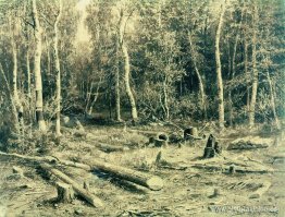 paisaje forestal paisaje forestal