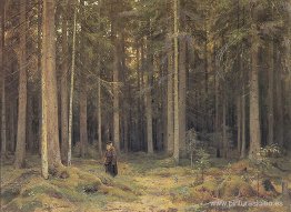 El bosque de la condesa Mordvinov El bosque de la condesa Mordvinov