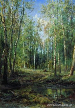 Bosque de abedules Bosque de abedules