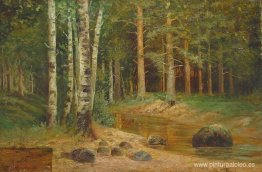 Arroyo del bosque Arroyo del bosque