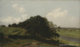 Día de verano. Árboles Día de verano. Árboles