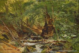 paisaje forestal paisaje forestal