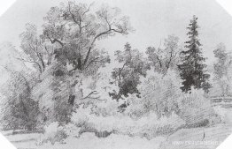 Borde del bosque Borde del bosque