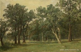 Claro del bosque Claro del bosque