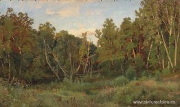 paisaje forestal paisaje forestal