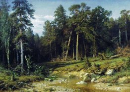 Bosque de pinos en la provincia de Vyatka Bosque de pinos en la provincia de Vyatka