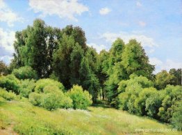 Claro del bosque (Claro) Claro del bosque (Claro)