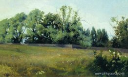 Paisaje Paisaje