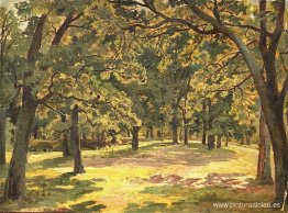 bosque de robles bosque de robles
