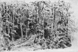 En el bosque caducifolio En el bosque caducifolio