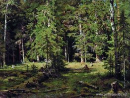 Bosque Bosque