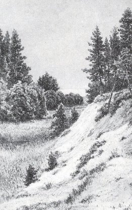 En Sestroretsk En Sestroretsk