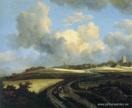 Camino a través de campos de maíz cerca del Zuider Zee Camino a través de campos de maíz cerca del Zuider Zee