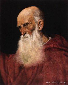 retrato de un cardenal retrato de un cardenal