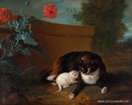 Gato y gatito, y Perro y loro. Gato y gatito, y Perro y loro.