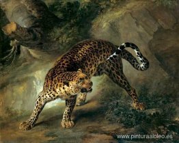 Leopardo Leopardo
