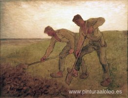 Los excavadores Los excavadores