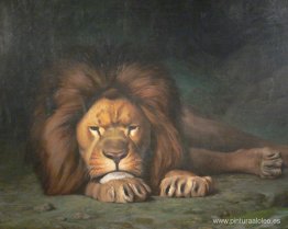 Nomenor hoy Nomenor hoy