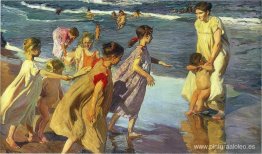Verano Verano